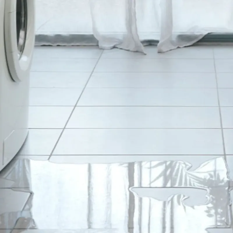 Appliance Leak Cleanup in Washington County, IN