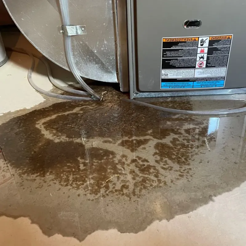 Pipe Burst and Leak Restoration in Washington County, IN
