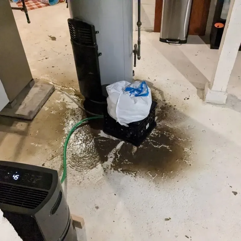 Sewage Backup Cleanup Service in Washington County, IN